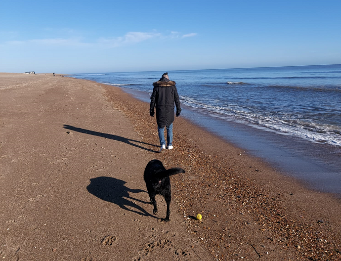 Coastal Walk